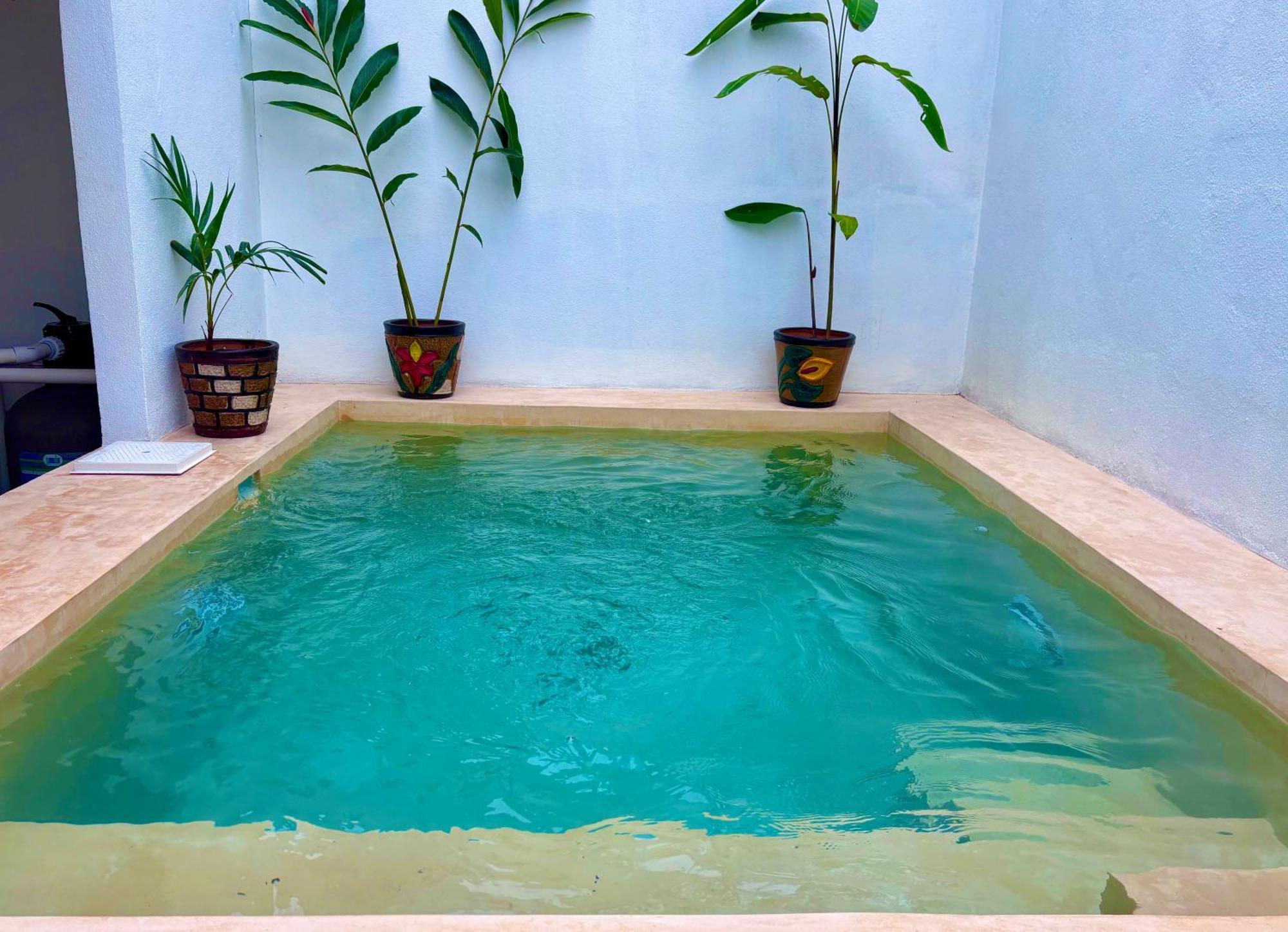 Vila Excelente Alberca Privada En Residencial Privado, Gym, Asador Ciudad Valles Exteriér fotografie
