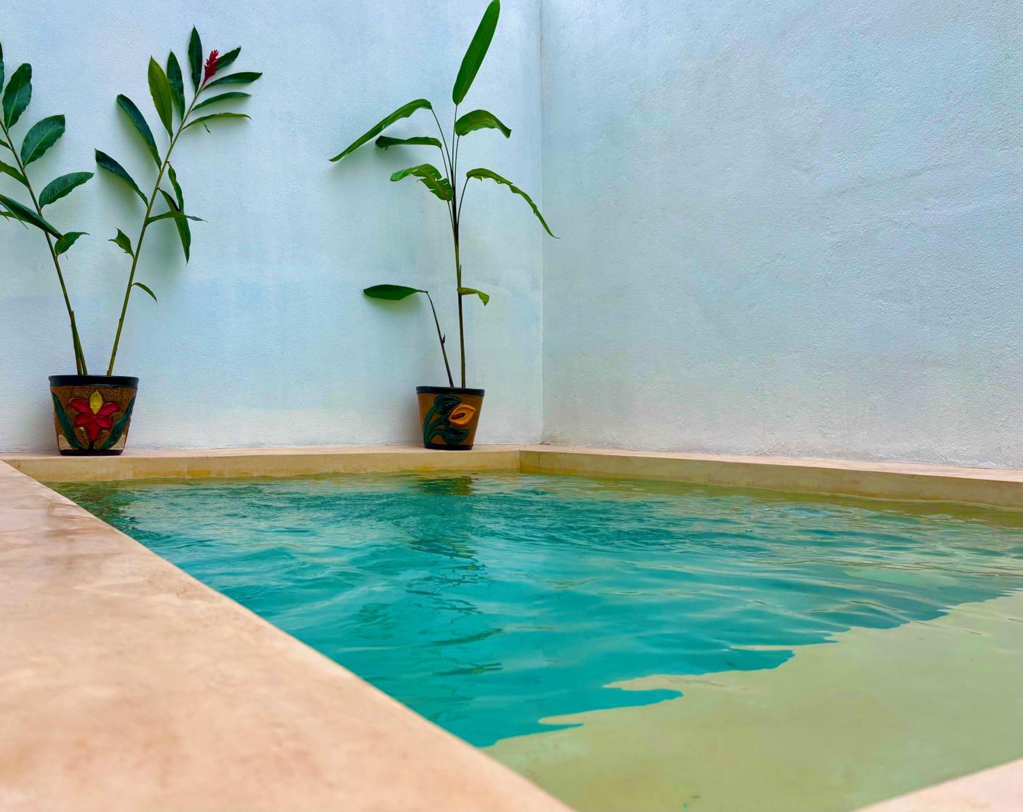 Vila Excelente Alberca Privada En Residencial Privado, Gym, Asador Ciudad Valles Exteriér fotografie
